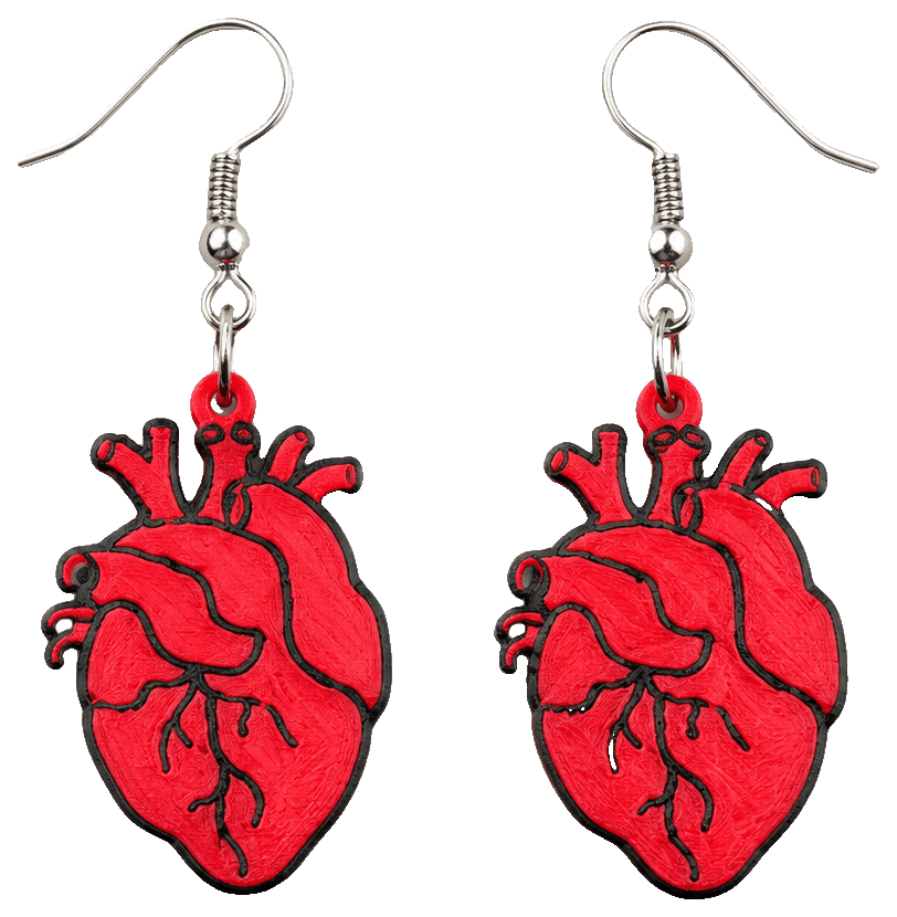 Anatomical Heart earrings — 3D-printed earrings