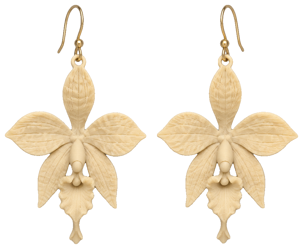 Pendientes cataleyas — view 1