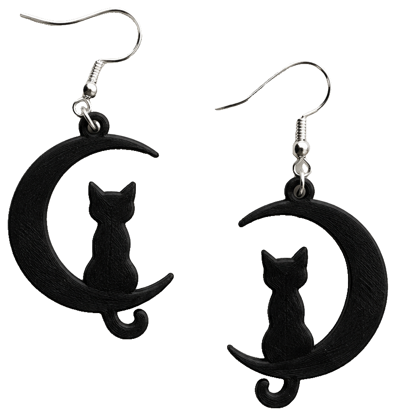 Cat and Moon Earrings — view 1